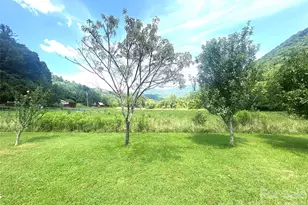 10755 Nc 209 Hwy, Hot Springs, NC 28743 - Photo 13