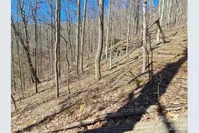9999 Off Hurricane Ridge Trace, Clyde, NC 28721 - Photo 5