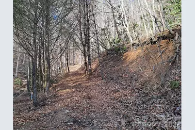 9999 Off Hurricane Ridge Trace, Clyde, NC 28721 - Photo 3