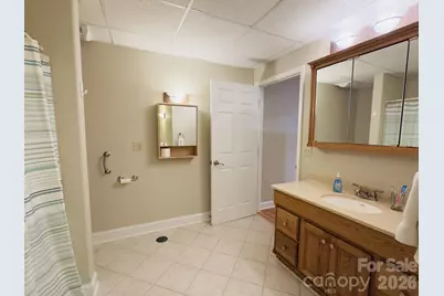 100 Hannah Drive, Mill Spring, NC 28756 - Photo 29