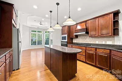 36145 Watsonia Street, Indian Land, SC 29707 - Photo 9