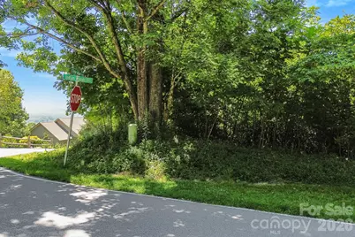 98 Indian Woods Trail, Hendersonville, NC 28739 - Photo 9