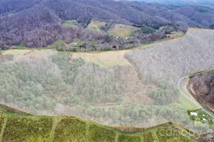 Tbd Big Helton Rd, Grassy Creek, NC 28631 - Photo 1