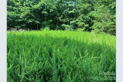 0 Gold Mine Road, Morganton, NC 28655 - Photo 7