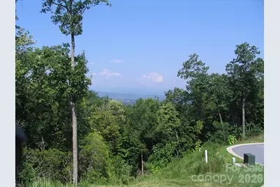 101 Wood Owl Court, Hendersonville, NC 28791 - Photo 3