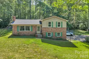 1199 Deer Park Lake Rd, Spruce Pine, NC 28777 - Photo 3