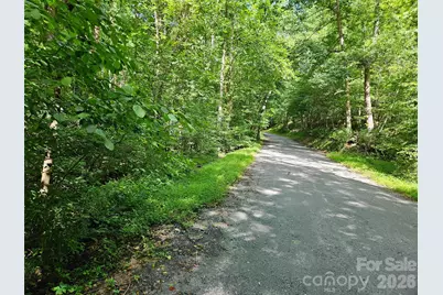 0 Sandpiper Avenue #163, Lake Lure, NC 28746 - Photo 1