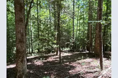 2006 Piedmont Road, Morganton, NC 28655 - Photo 7