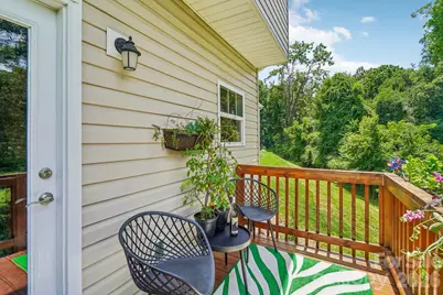 245 Rockrose Court, Asheville, NC 28803 - Photo 29