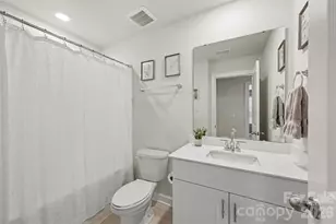 374 Hyssop Ct, Fort Mill, SC 29715 - Photo 21