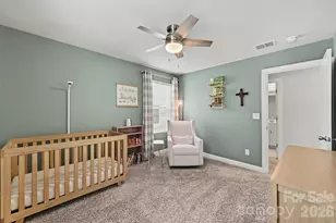 374 Hyssop Ct, Fort Mill, SC 29715 - Photo 17