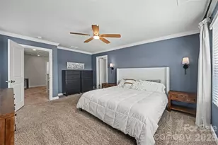 374 Hyssop Ct, Fort Mill, SC 29715 - Photo 9