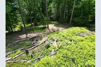 319 Valley Lane, Pisgah Forest, NC 28768 - Photo 5