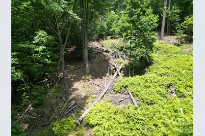 319 Valley Lane, Pisgah Forest, NC 28768 - Photo 13