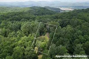 319 Valley Ln, Pisgah Forest, NC 28768 - Photo 1