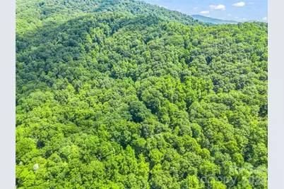 20 Kimberly Road, Black Mountain, NC 28711 - Photo 41