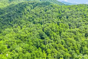 20 Kimberly Rd, Black Mountain, NC 28711 - Photo 41