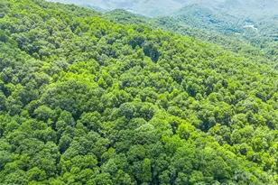 20 Kimberly Rd, Black Mountain, NC 28711 - Photo 39