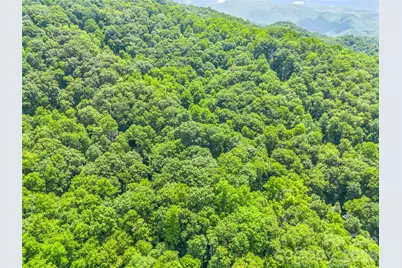 20 Kimberly Road, Black Mountain, NC 28711 - Photo 43