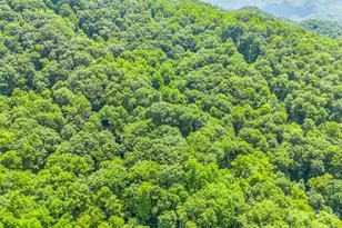20 Kimberly Rd, Black Mountain, NC 28711 - Photo 43