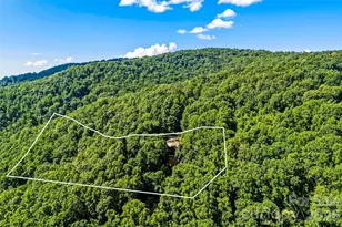 136 Merrills Ridge Rd, Asheville, NC 28803 - Photo 33