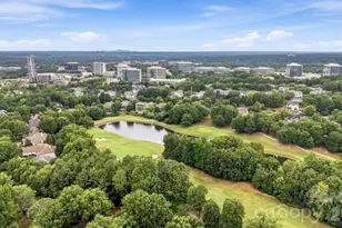 15118 Ballantyne Country Club Dr, Charlotte, NC 28277 - Photo 47