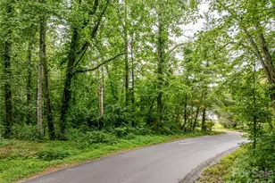 99999 Reynolds School Rd, Asheville, NC 28806 - Photo 1