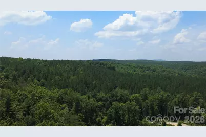 4691 Snowhill Church Road, Morganton, NC 28655 - Photo 17