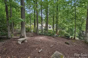 300 Pinnacle Peak Ln, Flat Rock, NC 28731 - Photo 35