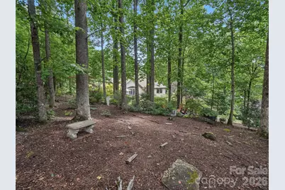 300 Pinnacle Peak Lane, Flat Rock, NC 28731 - Photo 43