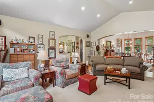 300 Pinnacle Peak Ln, Flat Rock, NC 28731 - Photo 7