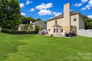 2001 Choke Berry Way, Waxhaw, NC 28173 - Photo 43