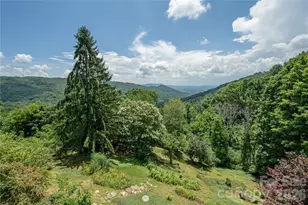 811 Town Mountain Rd, Asheville, NC 28804 - Photo 23