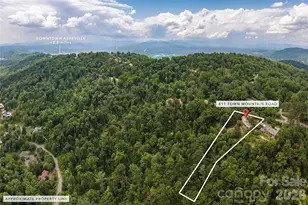 811 Town Mountain Rd, Asheville, NC 28804 - Photo 23