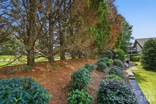970 Platinum Dr, Fort Mill, SC 29708 - Photo 45