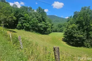 886 Hanging Rock Rd, Spruce Pine, NC 28777 - Photo 3