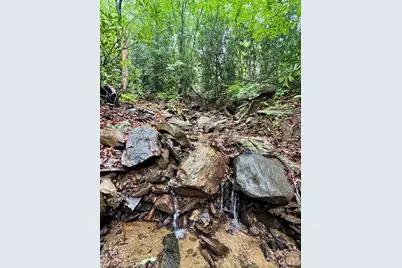 1230 Arborcrest Way, Swannanoa, NC 28778 - Photo 11