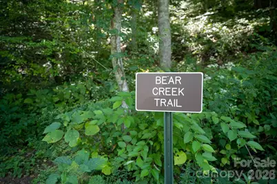 1230 Arborcrest Way, Swannanoa, NC 28778 - Photo 33
