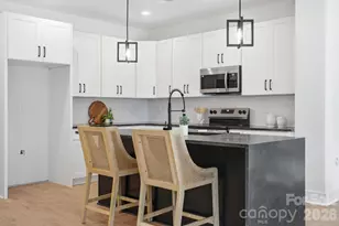 1735 Byrum St, Charlotte, NC 28216 - Photo 9