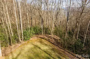 1279 Arborcrest Wy, Swannanoa, NC 28778 - Photo 1