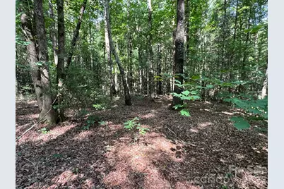 49 Trillium Trail, Nebo, NC 28761 - Photo 5