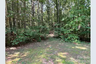49 Trillium Trail, Nebo, NC 28761 - Photo 3