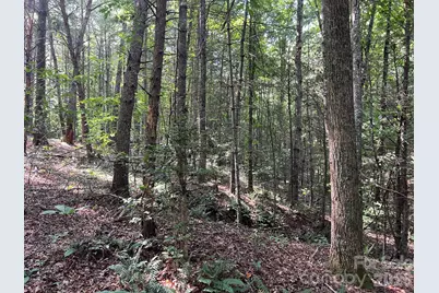 49 Trillium Trail, Nebo, NC 28761 - Photo 7
