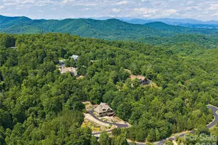 91 Watershed Way, Horse Shoe, NC 28742 - Photo 47