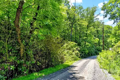 Tbd Durham Avenue, Black Mountain, NC 28711 - Photo 3