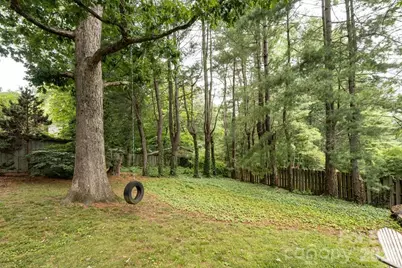 25 Mineral Springs Road, Asheville, NC 28805 - Photo 33