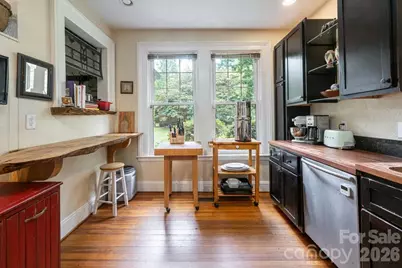 25 Mineral Springs Road, Asheville, NC 28805 - Photo 7