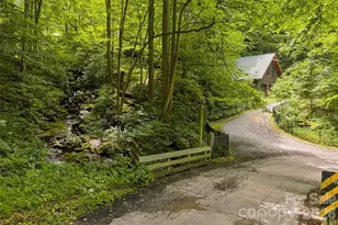 1482 Howard Moore Rd, Hot Springs, NC 28743 - Photo 3