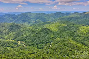 1482 Howard Moore Rd, Hot Springs, NC 28743 - Photo 5