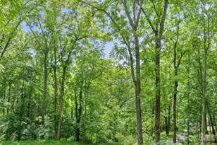 145 Hiaway Trail, Clyde, NC 28721 - Photo 17